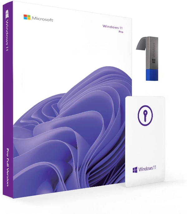 Microsoft : Windows 11 Professional