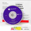 Microsoft Windows 10 Pro with Free BullZIGA Antivirus view 2
