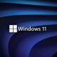 THE FUTURE OF WINDOWS 11