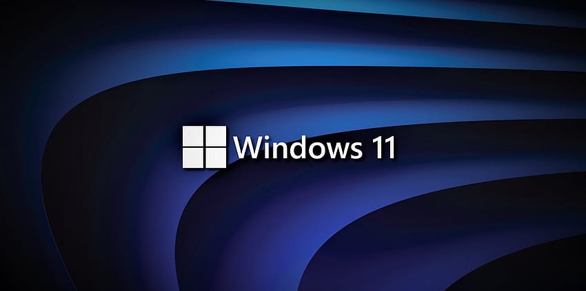 THE FUTURE OF WINDOWS 11