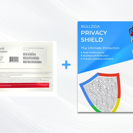 11 pro dvd + privacy shield