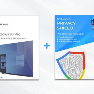 windows 10 pro usb + privacy shield