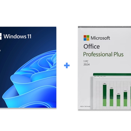 Wndows 11 Pro usb + Office 2024
