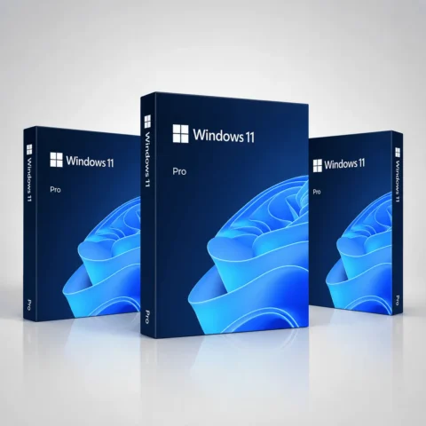 Windows 11 Pro