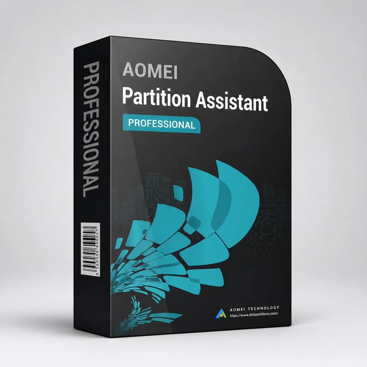 AOMEI Partition Assistant Professional - 1-Year | 2-PC - Global