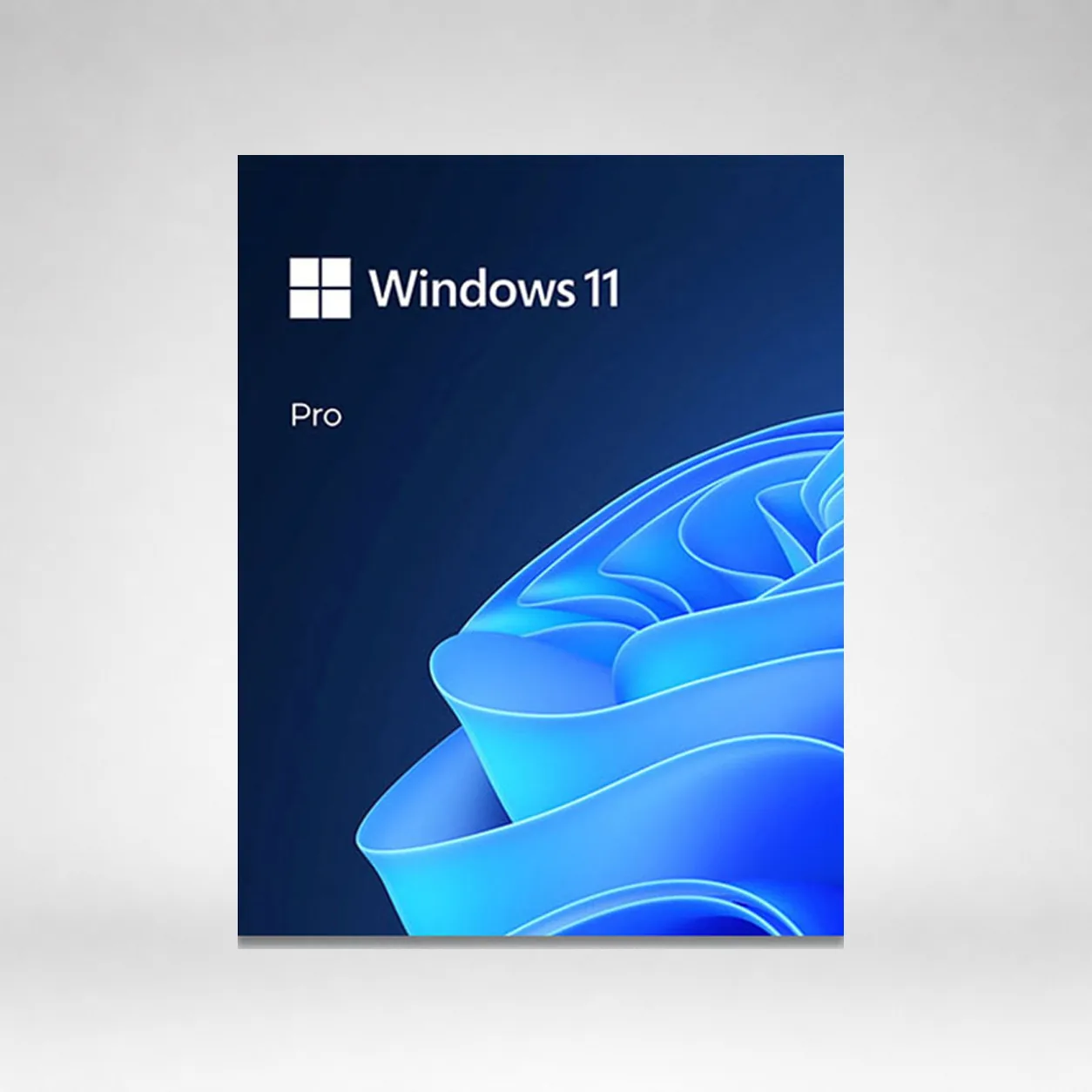 Microsoft Windows 11 Pro 64-BIT (USB)