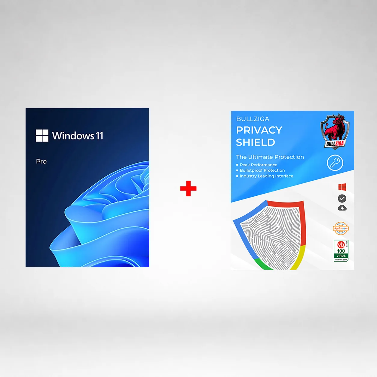 Microsoft Windows 11 Pro USB with Free BullZIGA Privacy Shield (Key Card)