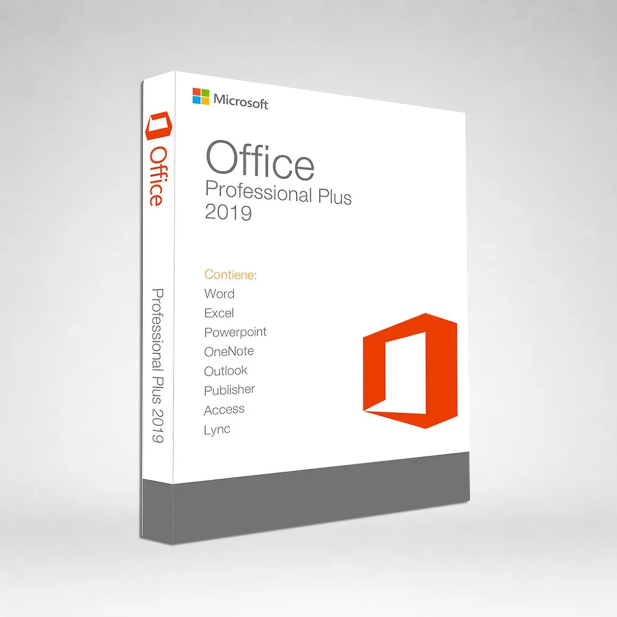 Office 2019 Professional Plus 64 Bit (DVD)
