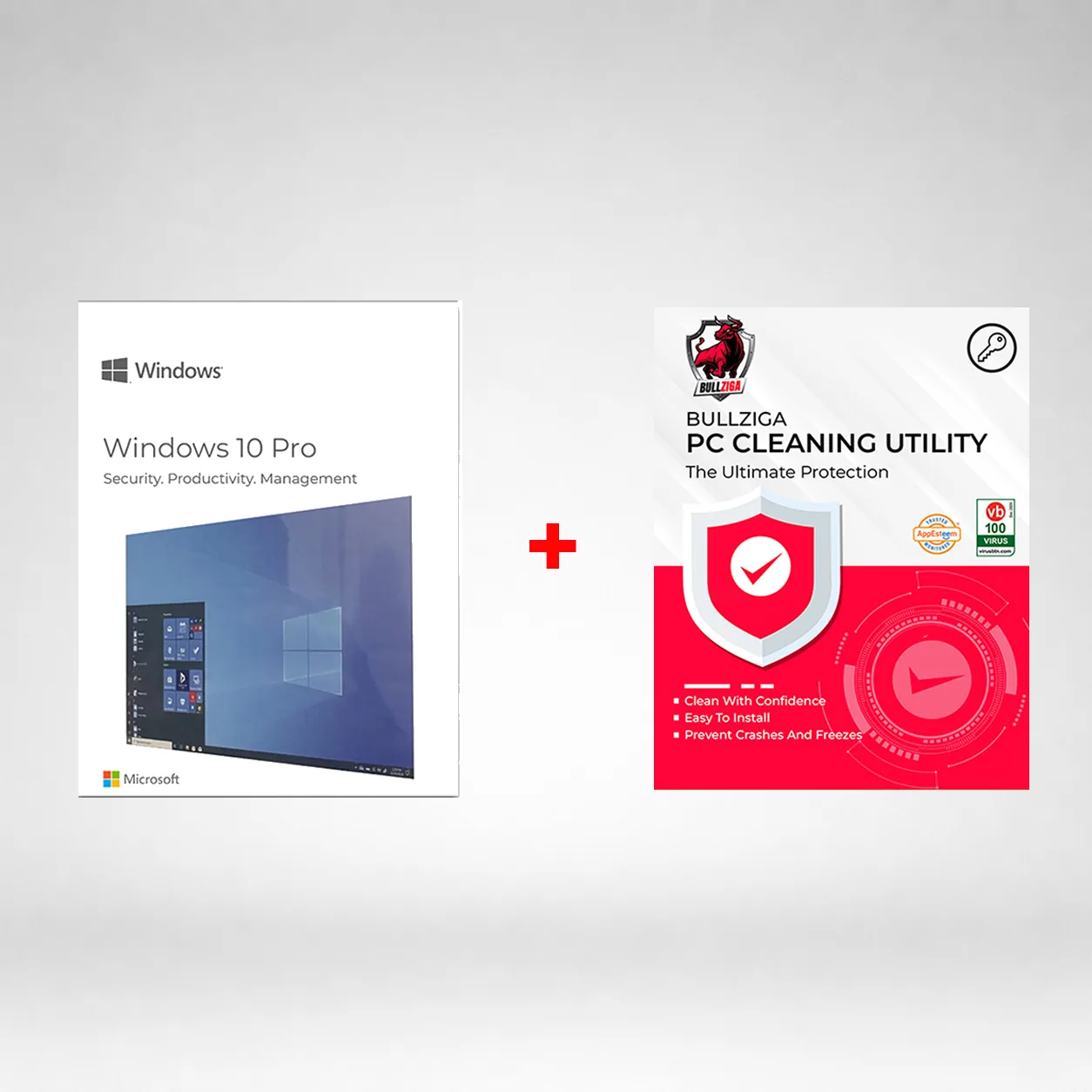 Windows 10 Pro 64-BIT (USB) with BullZIGA PC Cleaning Utility