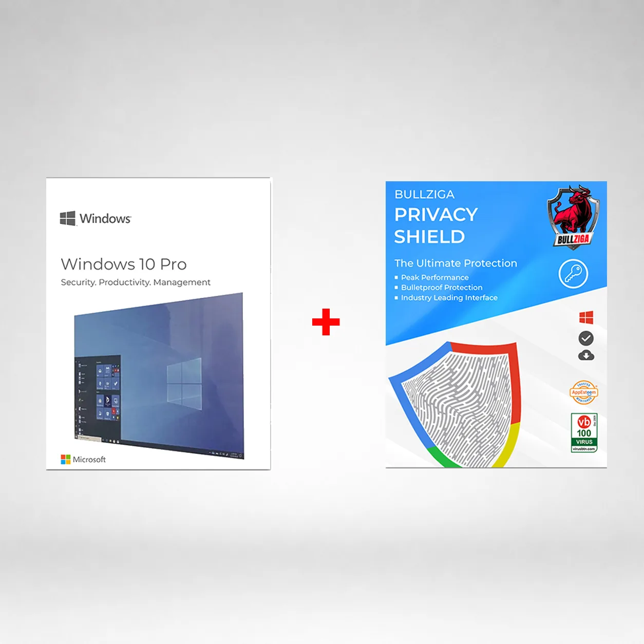 Windows 10 Pro USB With BullZIGA  Privacy Shield(Key Card)