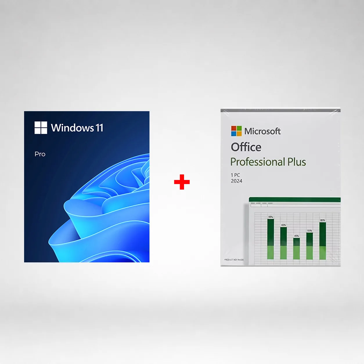 Windows 11 Pro USB + Office 2024 Pro Plus USB
